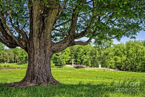 Minute Man National Historical Park Photograph by Edward Fielding - Fine Art America