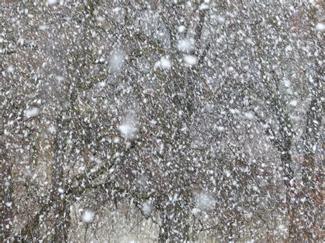 blizzard_snow_flurry_snowflakes.jpg – Second Reformed Church of Marion, NY