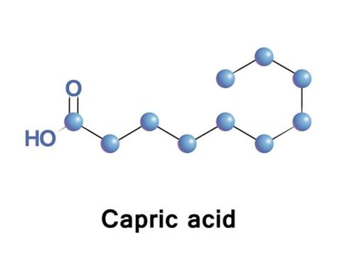 Capric acid sources, health benefits and uses