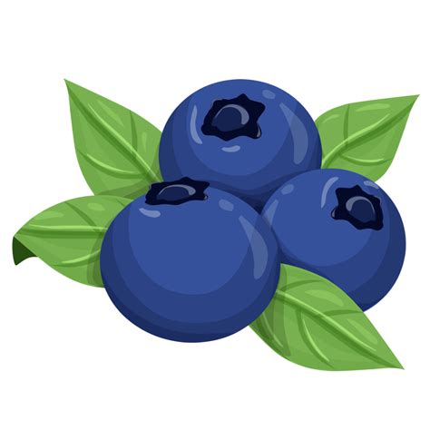 Blueberry clipart fruit Illustration 23254577 PNG