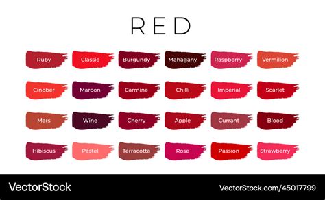 Red paint color swatches with shade names Vector Image