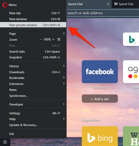 How to Open Private Window and New Tabs on Opera Browser?