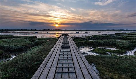 Wintry Walk in West Mersea - Outdoor Event in Colchester, Mersea Island ...