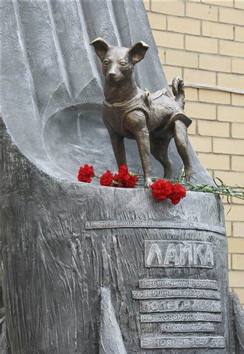 Russian Memorial for Space Dog Laika (Update) - Universe Today