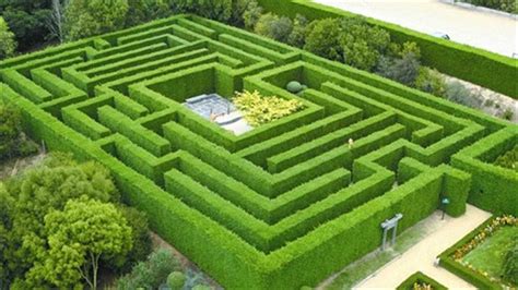 VVLand__9330242_AX52_Hedge_Maze_adjusted.JPG (1280×720) | Enchanted ...