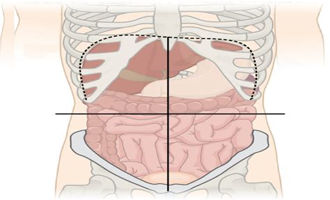 Abdominal Pain Quadrant and Potential Etiologies^ Diagram | Quizlet