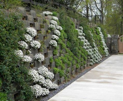 Myriad options for retaining wall needs | Screen plants, Vertical garden, Garden