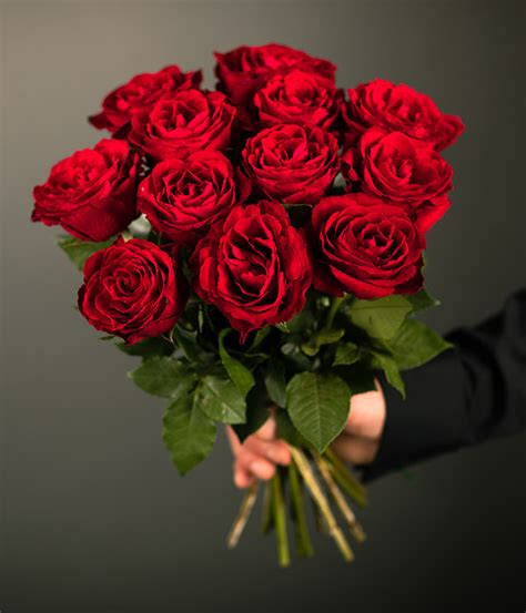 12 Red Roses | Valentine's Day Flowers | Teleflorist.ie