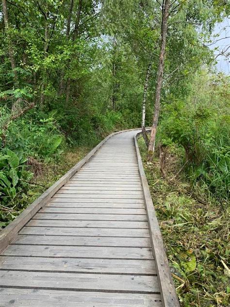 Burnaby Lake | Vancouver Venturers Walking Club