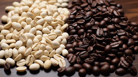 Experience The Unique Taste Of White Coffee Beans - JP Organic Coffee Blog