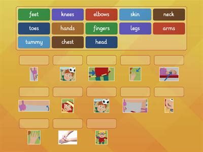 Human body parts hangman - Teaching resources