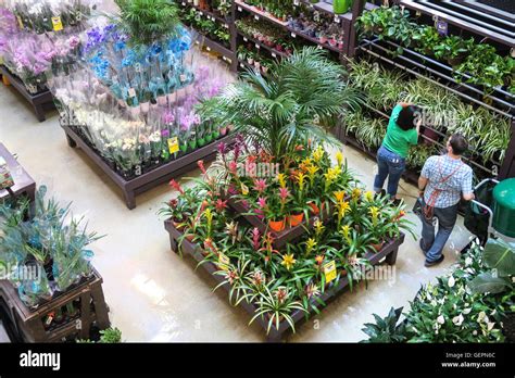 Home Depot Store Garden Center Display, NYC Stock Photo - Alamy