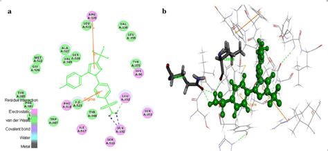 Celecoxib interaction map with the COX-1 protein a 2D view of... | Download Scientific Diagram