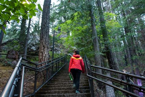 Hike Ladder Creek Falls in Newhalem, WA