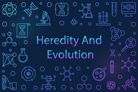 Heredity And Evolution Class 10 Study Notes - Leverage Edu