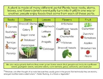 Edible Plant Parts Chart by MadManchLab | TPT