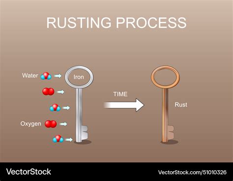 Rusting process chemical reaction Royalty Free Vector Image