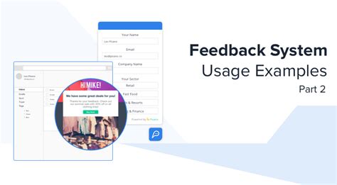 Feedback System Usage Examples Part 2 | Pisano Academy