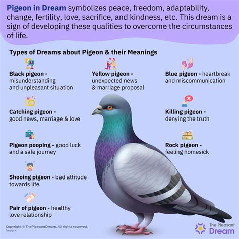 Pigeon Dream Meaning – A Complete Guide | Dream meanings, Dream symbols ...