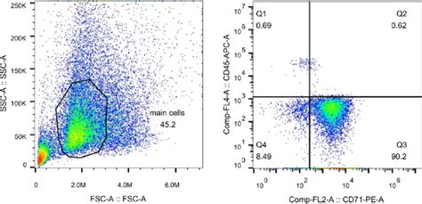 Confirmation of red blood cell sorting, using flow cytometry ...