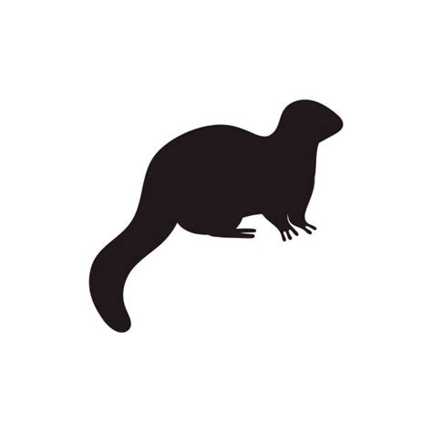 10+ Sea Otter Silhouette Stock Photos, Pictures & Royalty-Free Images ...