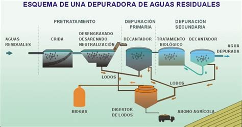 Clasificación Arancelaria: DIAN: Clasificación de una Planta de ...