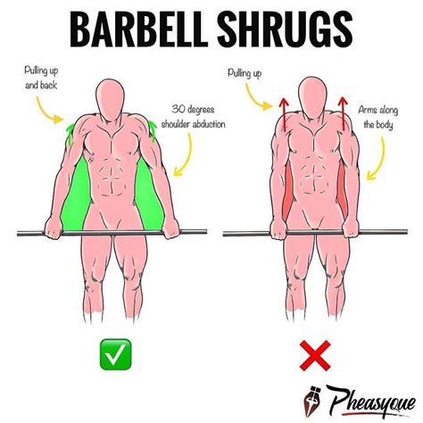 Make Your Lifts Even Better Whilst Building Bigger Rounder Delts - GymGuider.com | Barbell ...