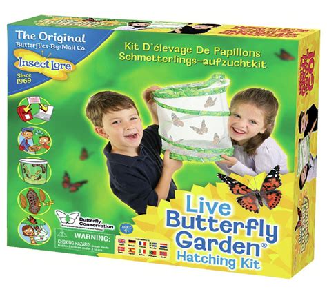 Buy Insect Lore Live Butterfly Garden | Discovery and science | Argos | Butterfly garden kit ...