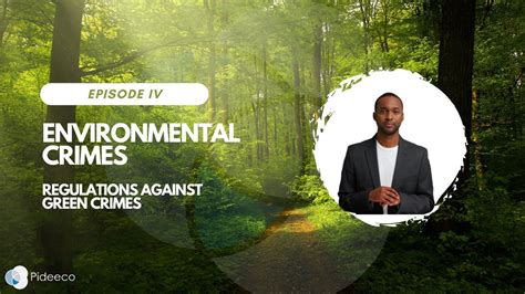 Environmental Crimes Episode IV - Regulations Against Green Crimes ...