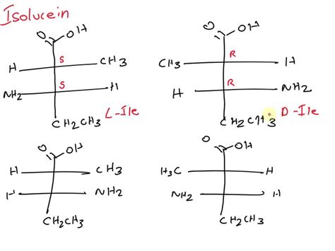 SOLVED: There are 2 amino acids that have 2 chiral centers (isoleucine ...