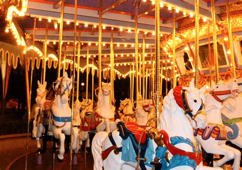 Carousel Horse Night Free Stock Photo - Public Domain Pictures