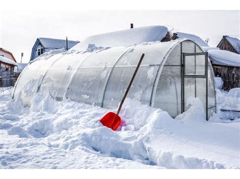 Winter Greenhouse: A Gardener's Paradise All Year Round - My Green ...