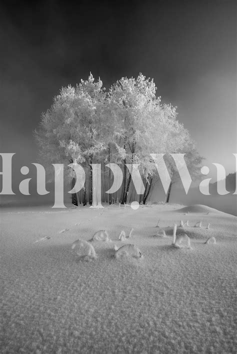 The First Snow Wallpaper | Happywall