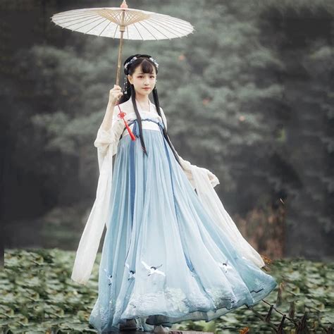 Hanfu Chinese Dance Costume Traditional Performance Clothing Women Ancient Crane Dress Han ...