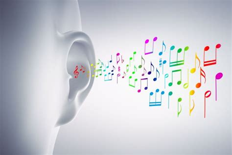 Vocal Training with Ear and Pitch Exercises | My Voice Exercises.com