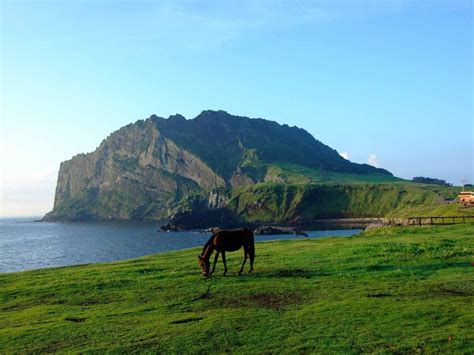 Jeju Island Korea – Discover the Beautiful Island of the Gods