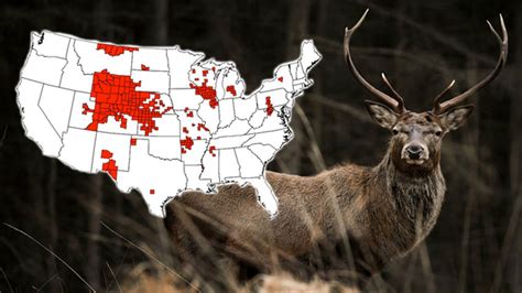 CDC: 'Zombie deer disease' spreading in U.S. could infect humans | FOX ...