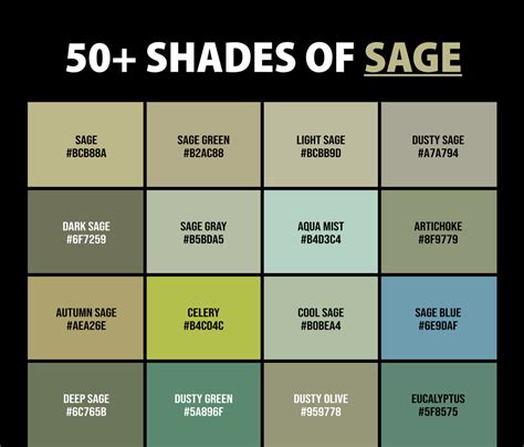 50+ Shades of Sage Color (Names, HEX, RGB, & CMYK Codes) – CreativeBooster