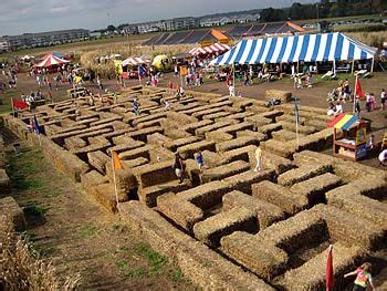 20+ Best Hay Maze images | hay maze, maze, fall fest