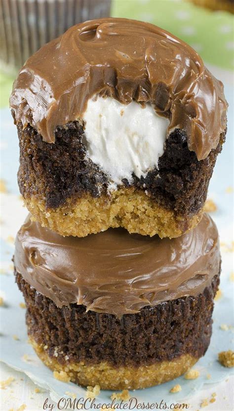 Perfect S’mores Cupcakes - OMG Chocolate Desserts