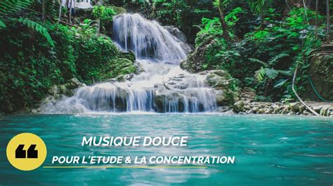 MUSIQUE DE RELAXATION - musique douce pour étudier et se concentrer 👍🙂 ...