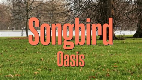 Songbird (Lyrics) | Oasis - YouTube