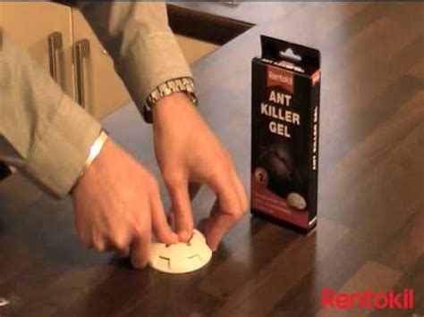 Rentokil DIY Ant Killer Gel - YouTube