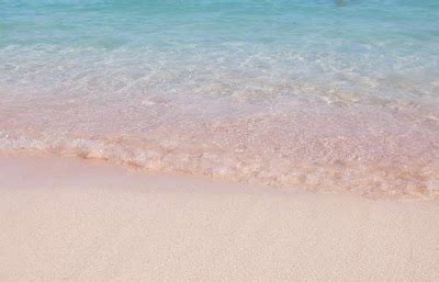 Pink Beach Flores