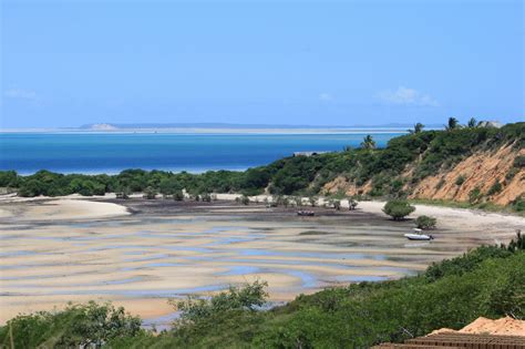 there are many small boats on the water by the beach and trees in the foreground