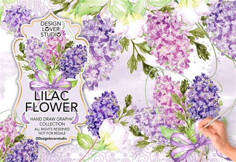 Watercolor LILAC FLOWERS DESIGN clipart