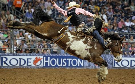 Houston Livestock Show and Rodeo(HLSR) Group Transportation Service | Western Motorcoach