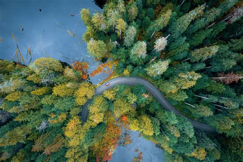 Beautiful Forest From Above, Road, Lake Photograph by Evgeny Vasenev - Pixels