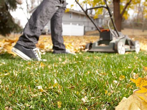 Ways to Prep Your Lawn and Garden for Fall | Reader's Digest Canada