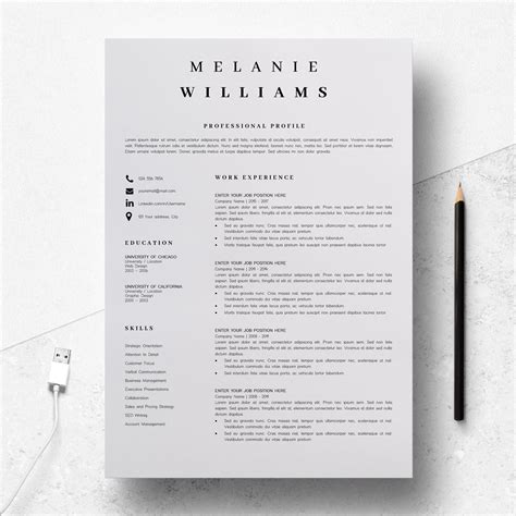 Minimalist Resume Template Word